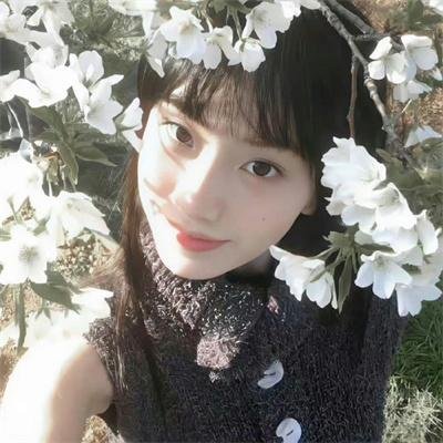 高冷学长认栽了